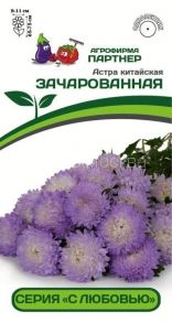 Астра китайская ЗАЧАРОВАННАЯ (5шт) Партнер