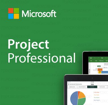 Project 2021 Pro для Windows 1ПК (ключ активации)