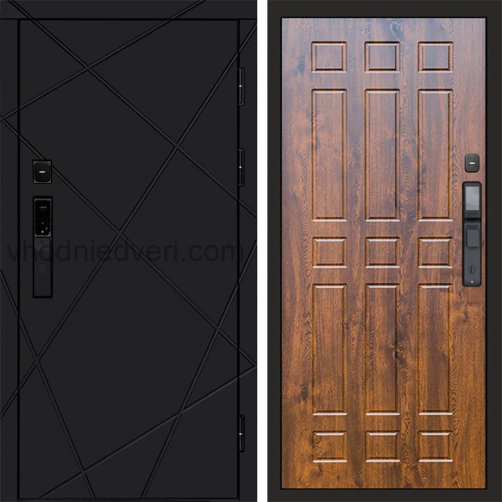 Входная дверь Termo-door ЛУЧИ BLACK с электрозамком - Спарта Дуб