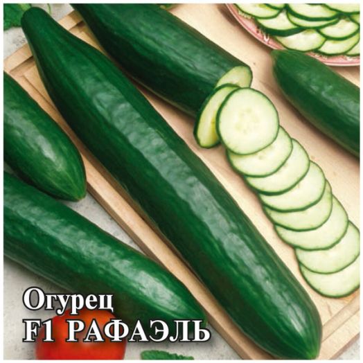 Огурец партенокарпический Рафаэль F1, 50шт семян