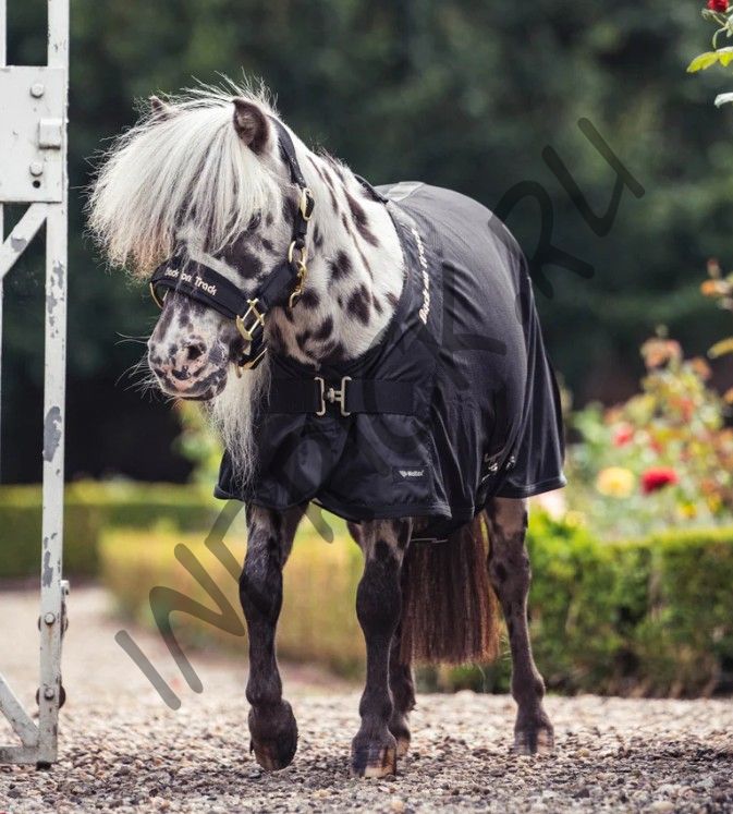 Сетчатая попона для лошади Back on Track Royal Deluxe Pony черный