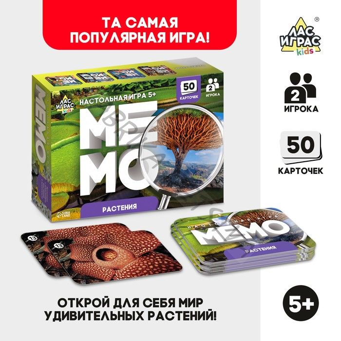 Мемо «Растения»