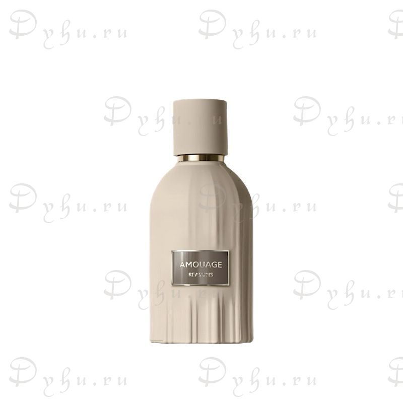 Amouage Reasons