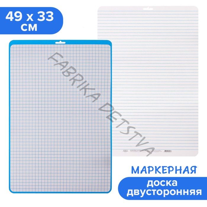 Доска маркерная A3 (49 х 33 см) Calligrata, двусторонняя: клетка/линейка, синяя