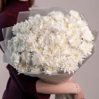 15 хризантем белых в упаковке
