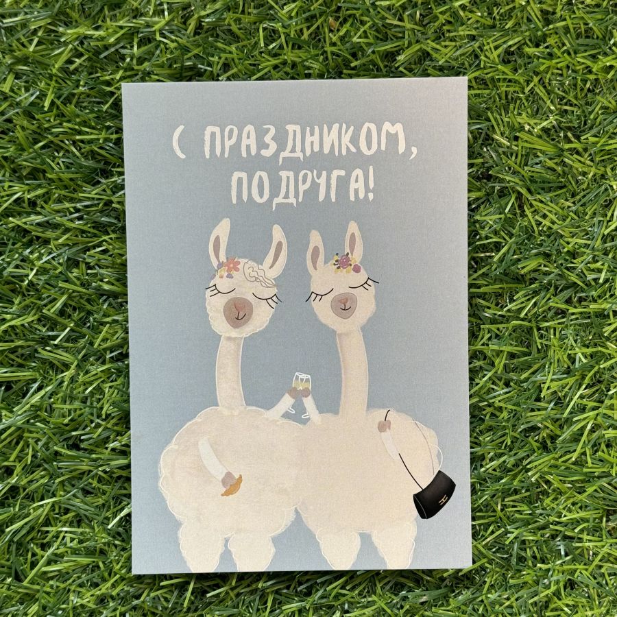 Открытка Ламы