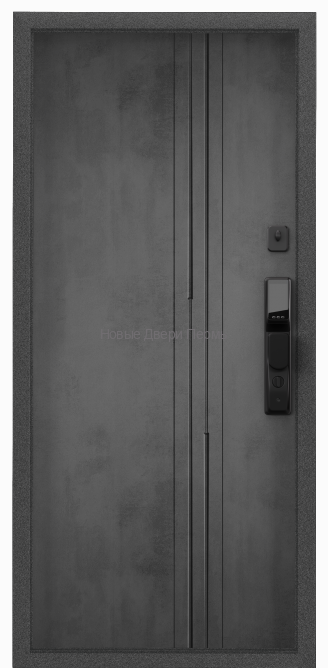 CYBER PRO MP Колоре гриджио / ПВХ Бетон темный CBR-28 входная дверь