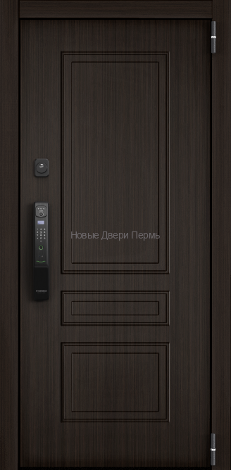 CYBER PRO PP ПВХ Лиственница темная CBR-NC3 / ПВХ Санторини белый CBR-NC3 входная дверь