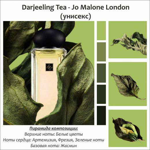 ~Darjeeling Tea  (u) ~