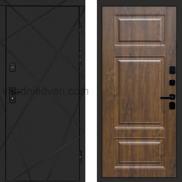 Входная дверь Termo-door Лучи Black - Лион Дуб