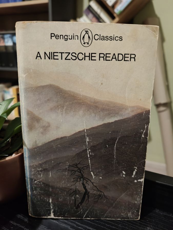 A Nietzsche reader