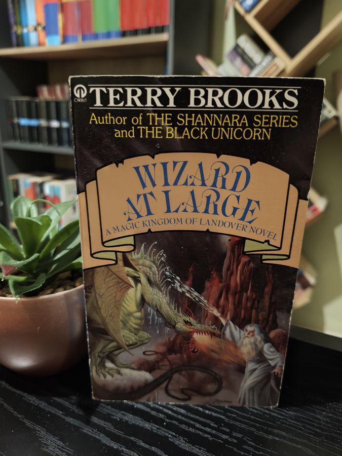 Wizard at large by Terry Brooks