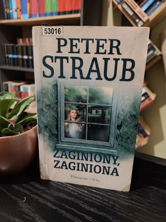 Zaginiony, zaginiona, Peter Straub