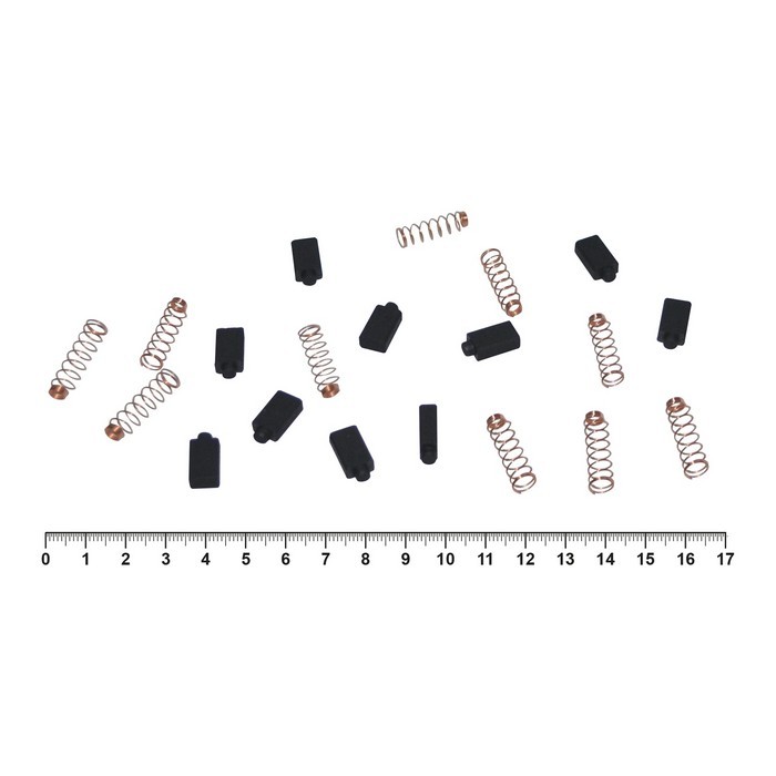 Rupes LE21 / LS21 / LE71 / LS71 / LR71 / LR21 / LR31 Щётка графитовая, (набор 10шт.)