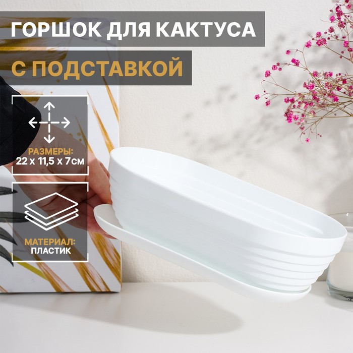 Горшок для кактуса с подставкой «Алиса», 900 мл, белый