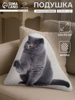 Подушка «Этель» British cat, 40?33 см, 100% п/э, велюр
