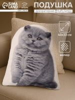 Подушка «Этель» Fluffy kitten, 40?33 см, 100% п/э, велюр