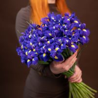 Ирисы от 25 штук