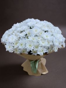 Букет из 25 хризантем кустовых белых