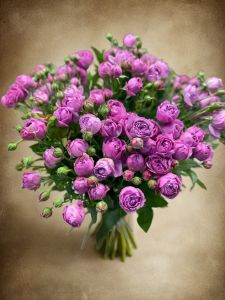 Букет из 25 кустовых роз розовых