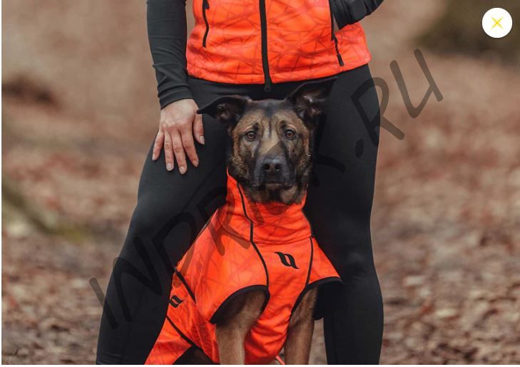 Непромокаемая дышащая попона для собак Bark Back on Track на флисе сигнальный оранжевый
