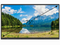 Раздвижная рельсовая система досок BS с интерактивной панелью 75" (комбинированная)