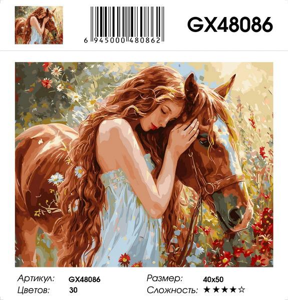 Картина по номерам на подрамнике GX48086