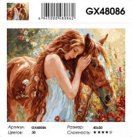Картина по номерам на подрамнике GX48086