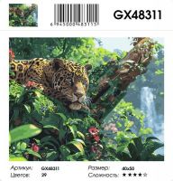 Картина по номерам на подрамнике GX48311