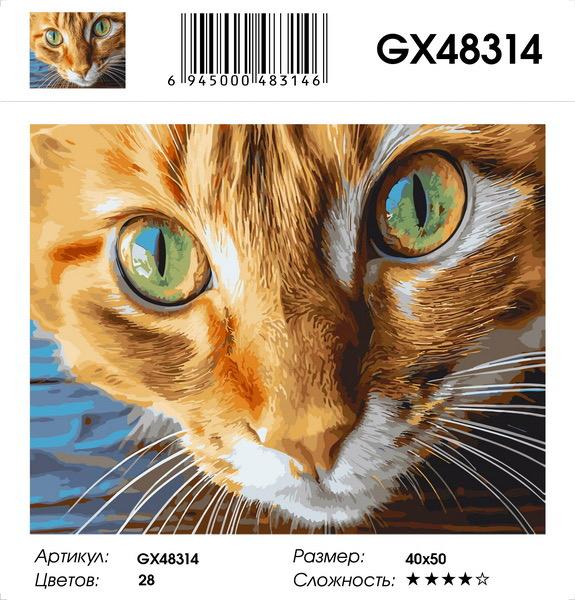 Картина по номерам на подрамнике GX48314