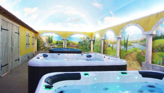 Спа бассейн passion spas pure spa repose схема 8