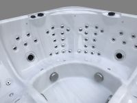 Спа бассейн passion spas signature spa florida схема 2