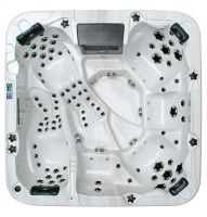 Спа бассейн passion spas exclusive spa sunny схема 1