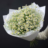 Букет Ромашек из 11 веточек