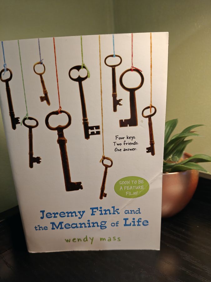 Jeremy Fink and the meaning of life by Wendy Mass
