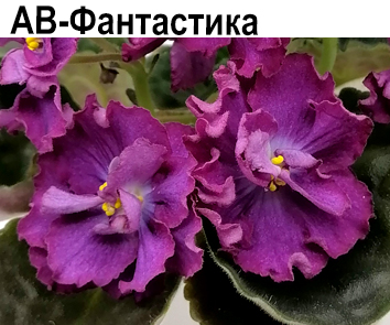 АВ-Фантастика