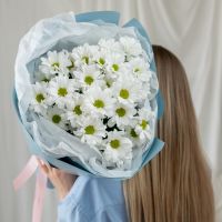 Кустовая хризантема Ромашка 3 шт