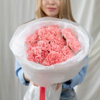 15 розовых диантусов