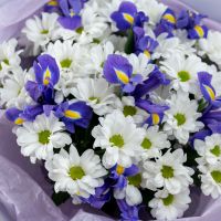 Сборный букет из хризантем и ирисов