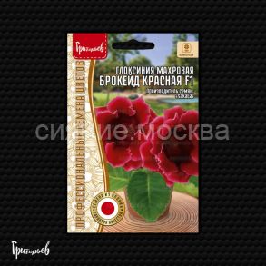 Глоксиния Брокейд Красная F1 махровая, 4 др. (Ред.Сем. Григорьев)