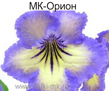 МК-Орион