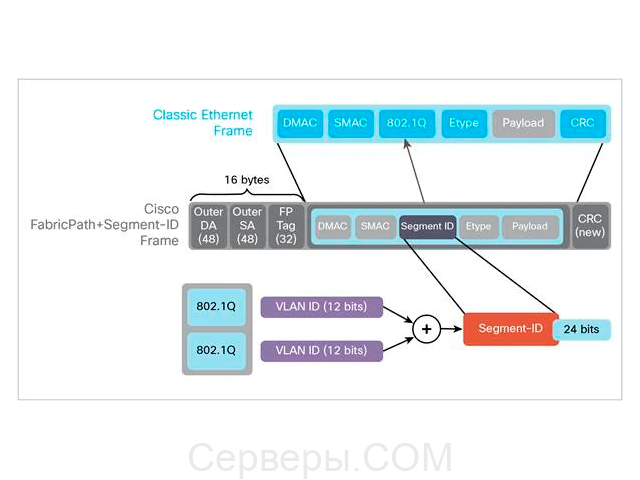Cisco Dynamic Fabric Automation