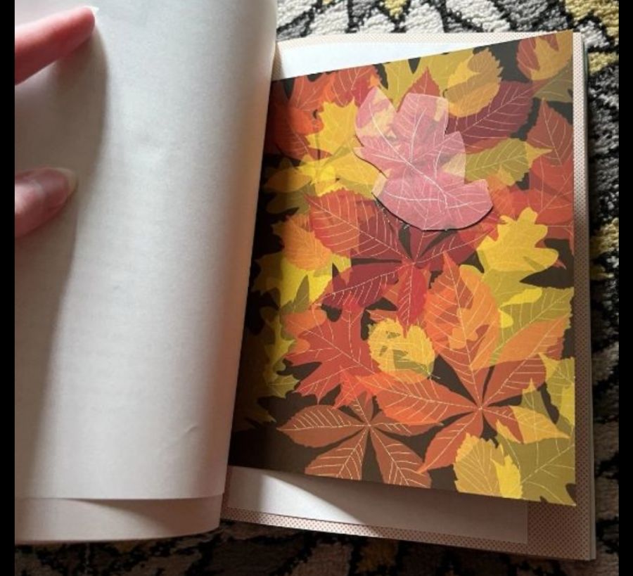 Питер Пэн / Potter Pan