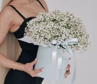 Белая гипсофила в коробке
