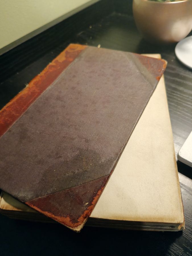 A group of nobel dames by Thomas Hardy 1891