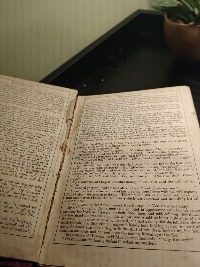 David Copperfield by Charles Dickens 1869