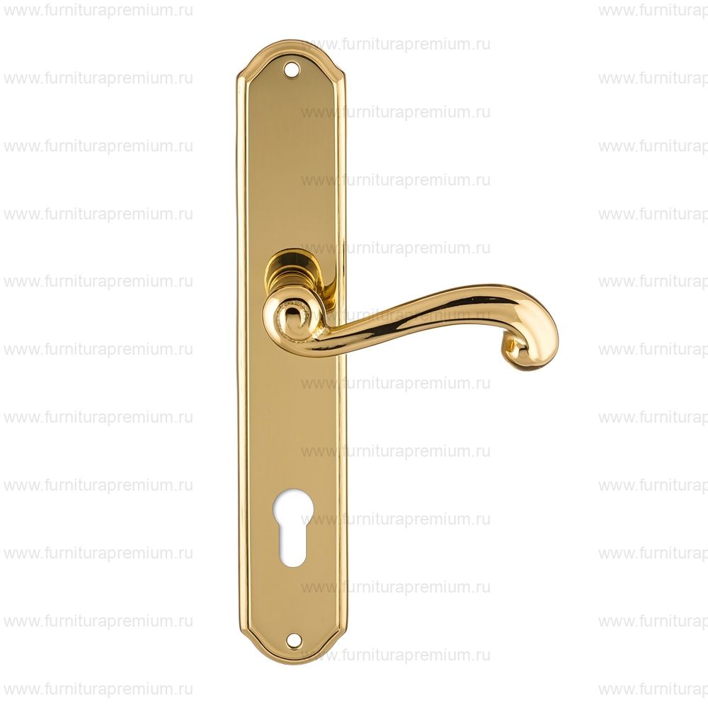 Ручка на планке Extreza Berta 312 CYL PL01