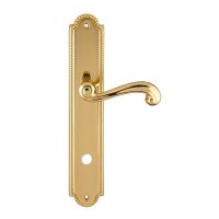 Ручка на планке Extreza Berta 312 WC PL03 полированная латунь