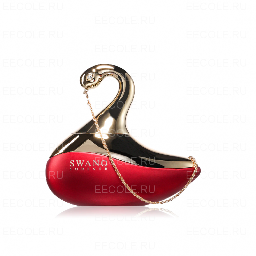 Le Chameau Swano Forever