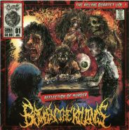 BETWEEN THE KILLINGS - Reflection Of Murder